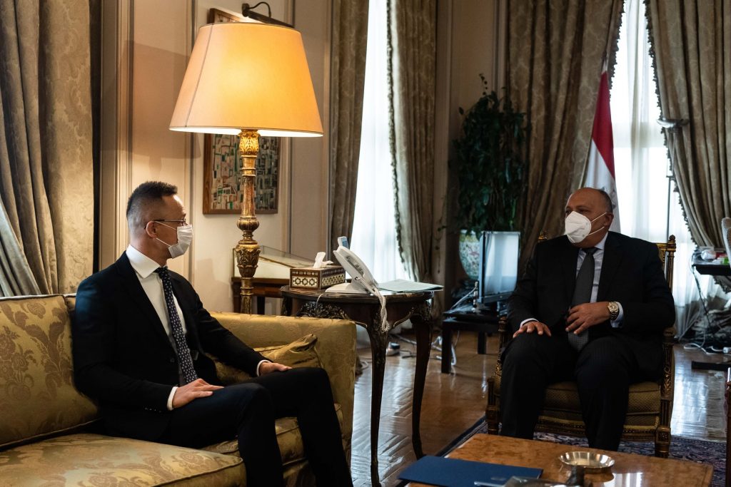 Foreign Minister Discusses Security, Economic Partnership with Egyptian Counterpart post's picture