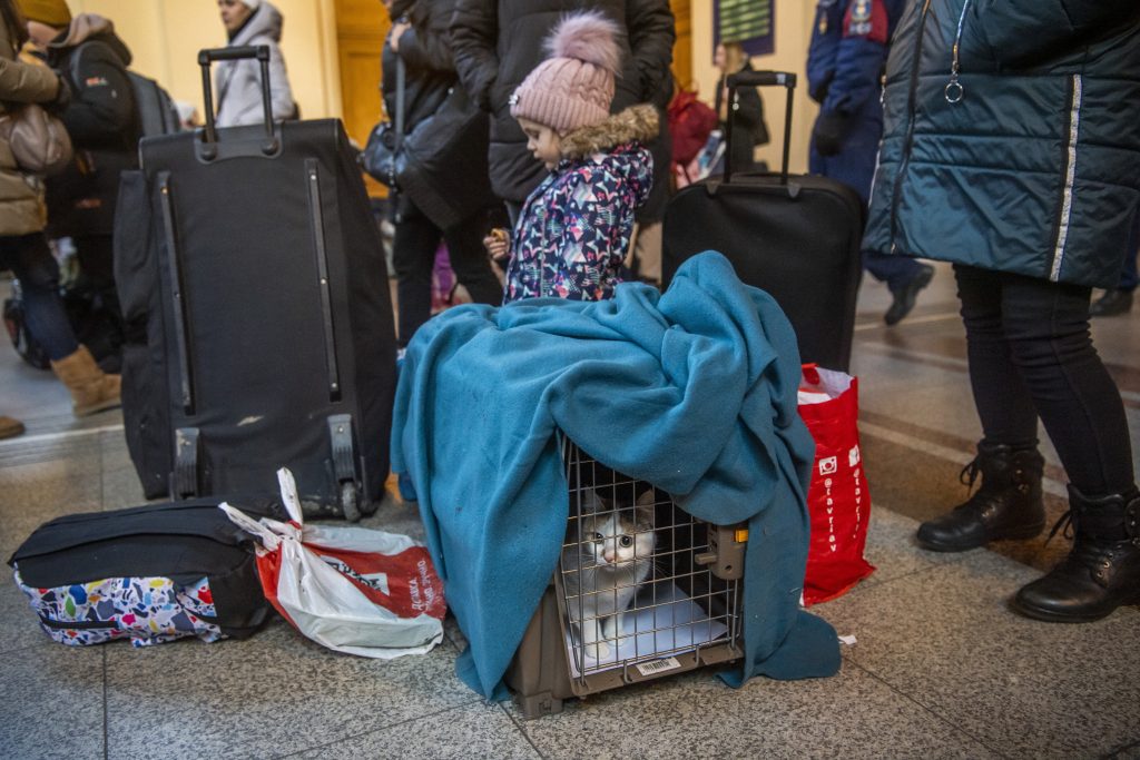 Ukrainian War: Over 3,700 Refugees Arrive in Budapest on Saturday post's picture