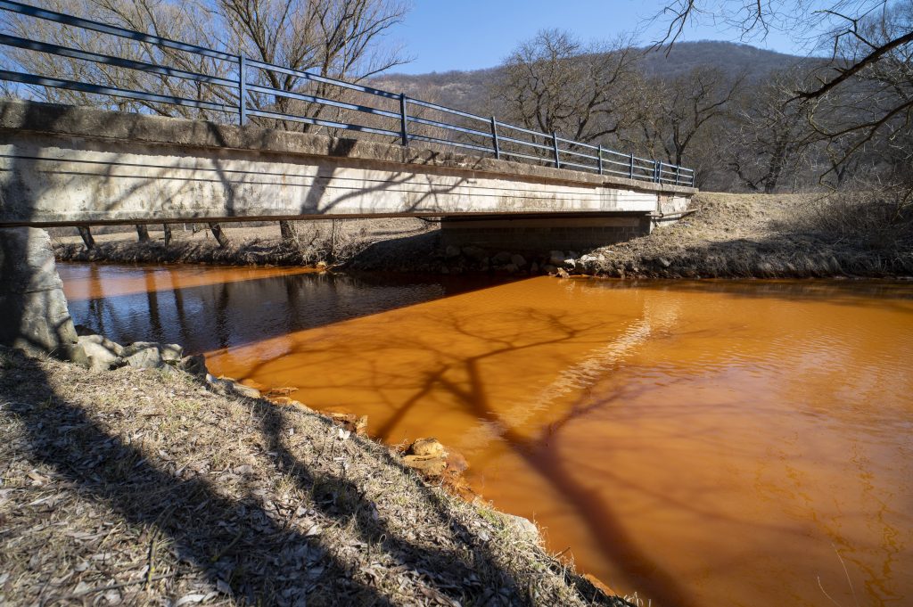 Agriculture Minister Nagy to Visit Slovakia after Depletion of Sajó River Wildlife due to Pollution post's picture