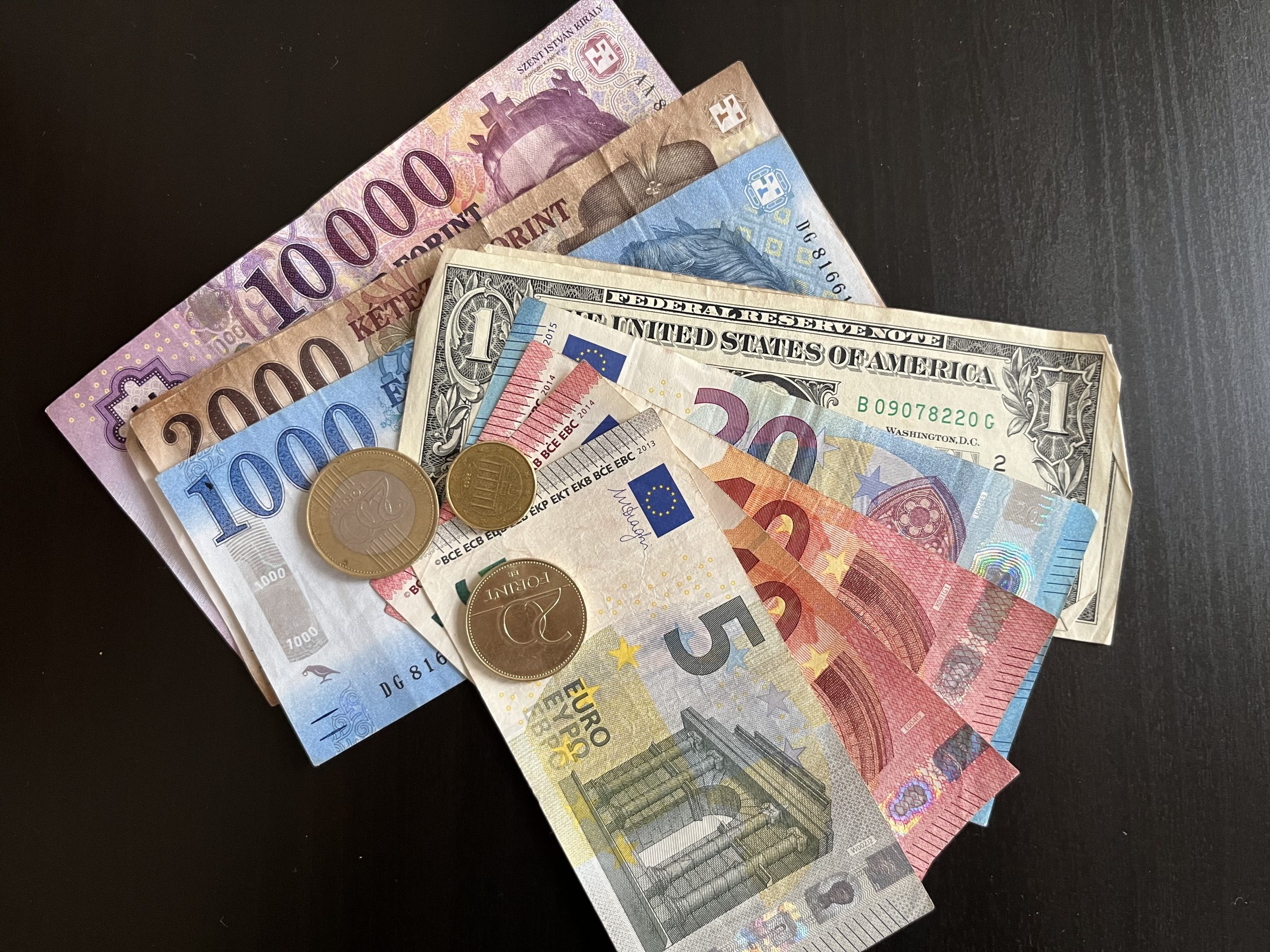 Why is the Devaluation of Hungary's Forint Highest in CEE Region?