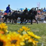 Hortobágy Equestrian Days: Biggest Summer Event in the Puszta Starts Today