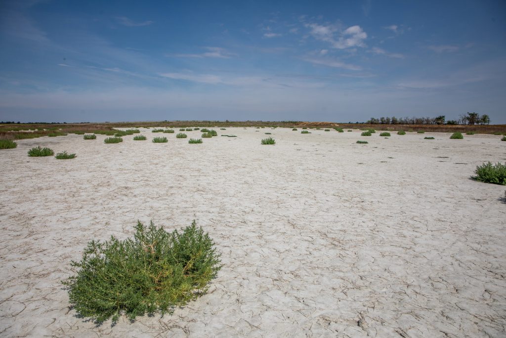 Meteorological Service Warns Droughts Will Become More Frequent in Hungary post's picture