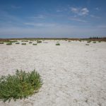 Meteorological Service Warns Droughts Will Become More Frequent in Hungary