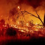 This Is How the Bükk Hills Burned – Videos