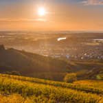 Hungary’s Famous Tokaj-Hegyalja Wine Region on the Rise