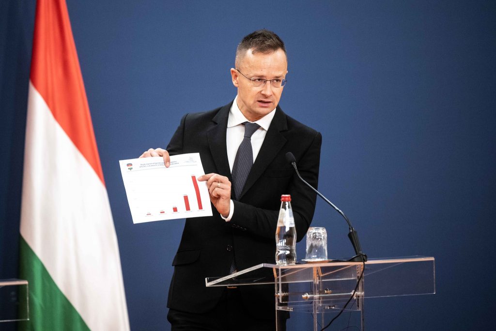 Hungary ready to contribute more to the protection of the Serbian-North Macedonian border post's picture