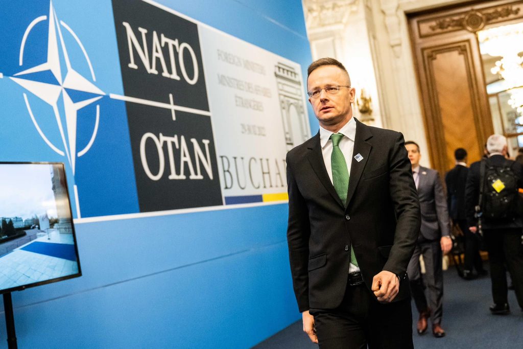 Transcarpathian Hungarians’ Rights Must Improve before NATO-Ukraine Talks post's picture
