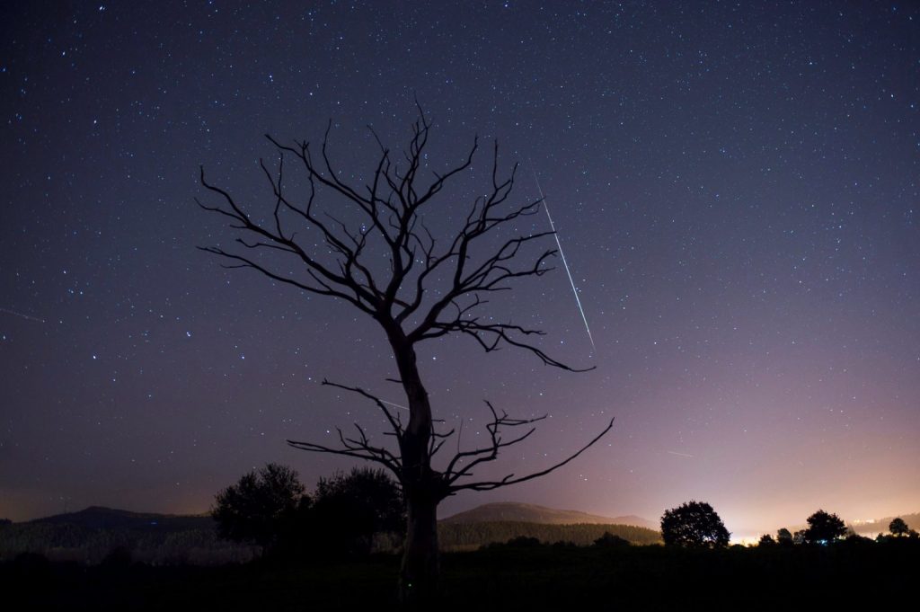 Spectacular Meteor Shower Expected Next Week post's picture