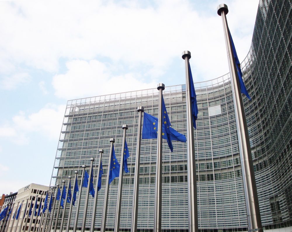 Anti-government NGOs Receive Direct EU Funding