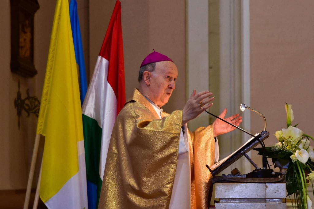 Hungarian Archbishop Criticizes German Church Leadership post's picture