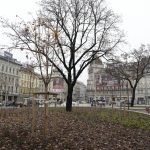 Highly Controversial Renovation of Budapest Square Comes to an End