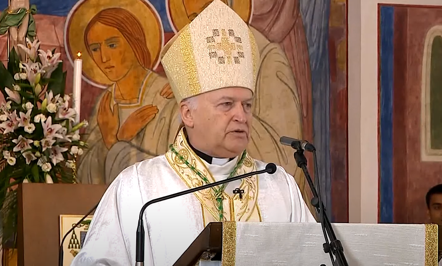 Hungarian Bishop Leads the Serbian Catholic Church post's picture