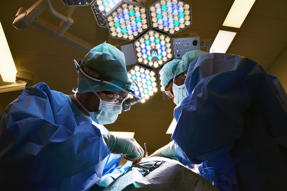 Organ Transplantation in Hungary Turns Sixty post's picture