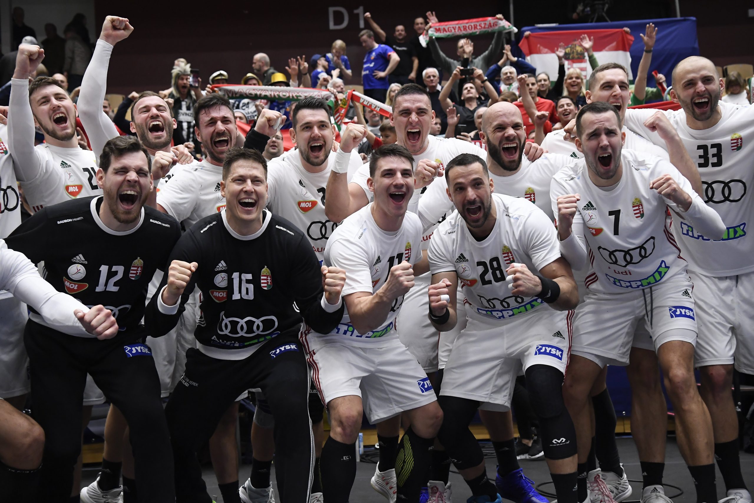 Intense Drama against Iceland in World Handball Championship