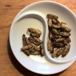 Hungarians Cringe Over Insects in Food Products