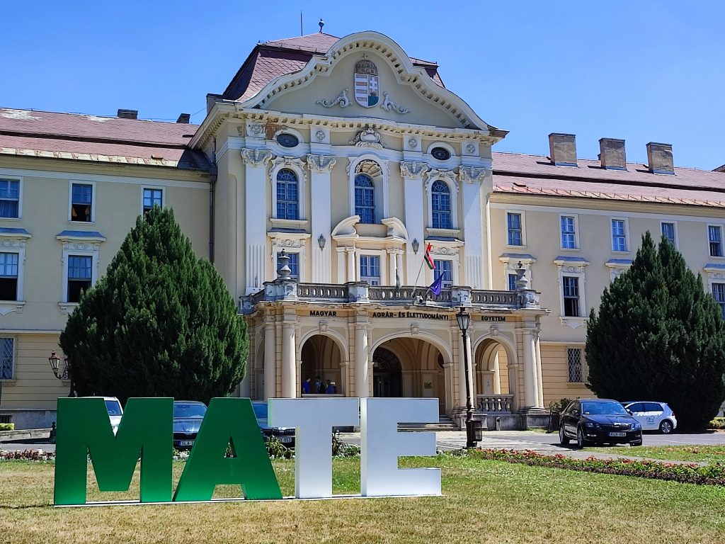 Hungarian Universities Move Up Again in International Ranking post's picture