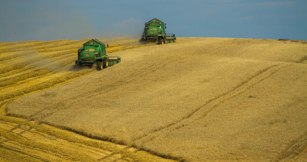 Ban on Grain from Ukraine Remains in Force post's picture