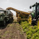 European Commission Dismisses Concerns over Pesticide-polluted Ukrainian Grain