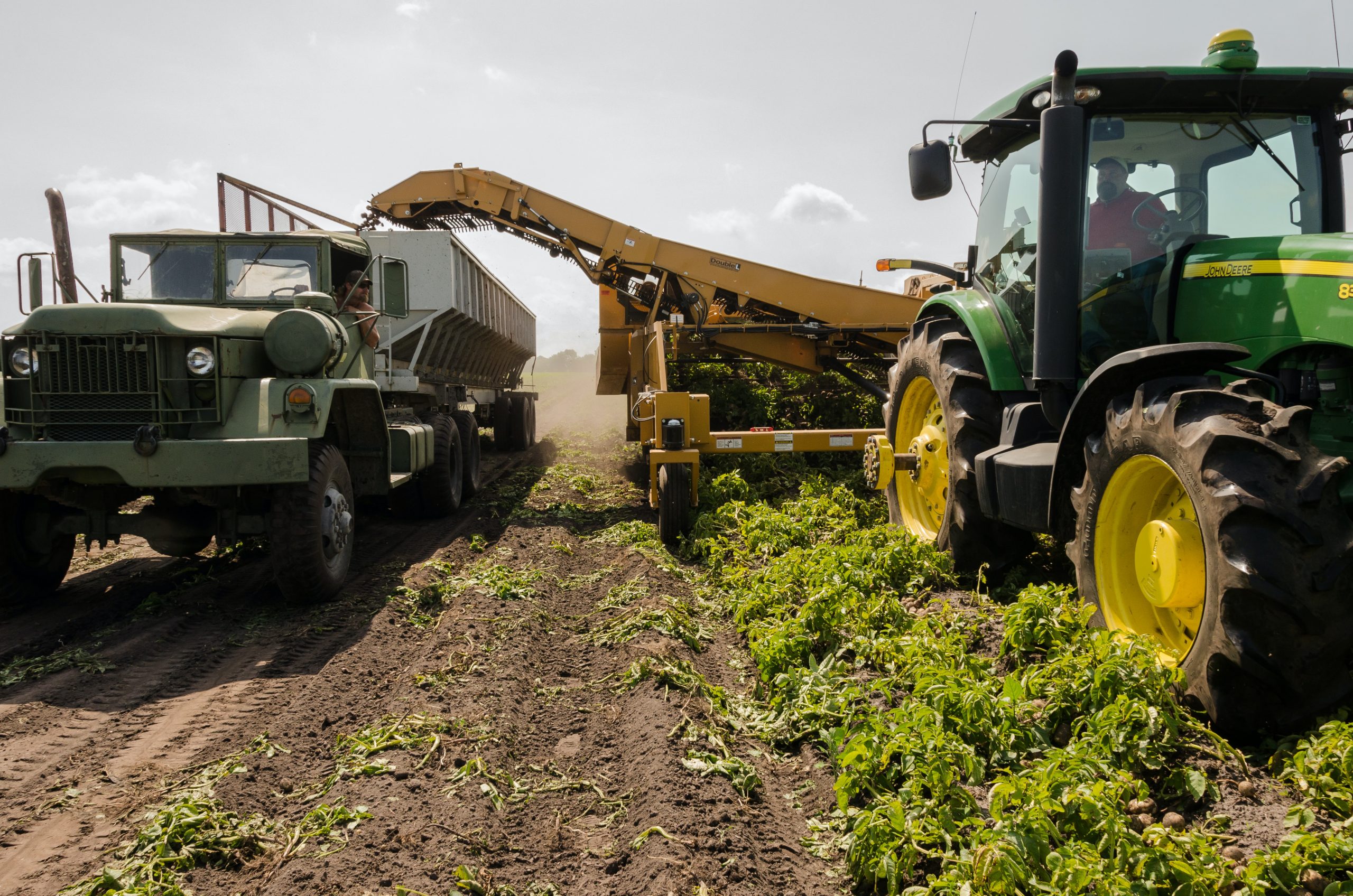 European Commission Dismisses Concerns over Pesticide-polluted Ukrainian Grain