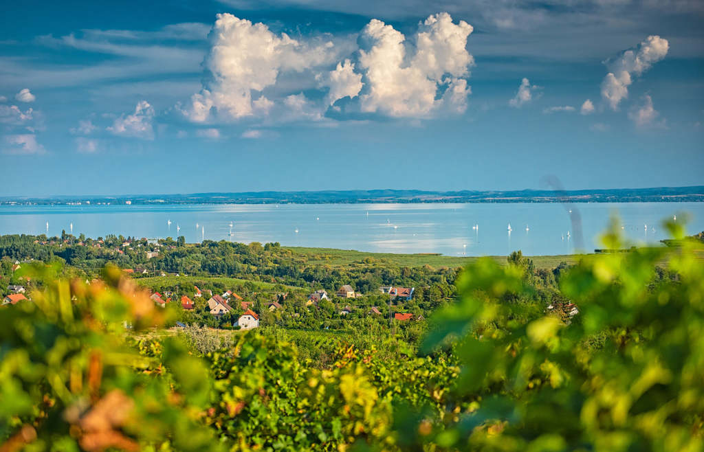 This Summer Promises an Excellent Season at Lake Balaton post's picture