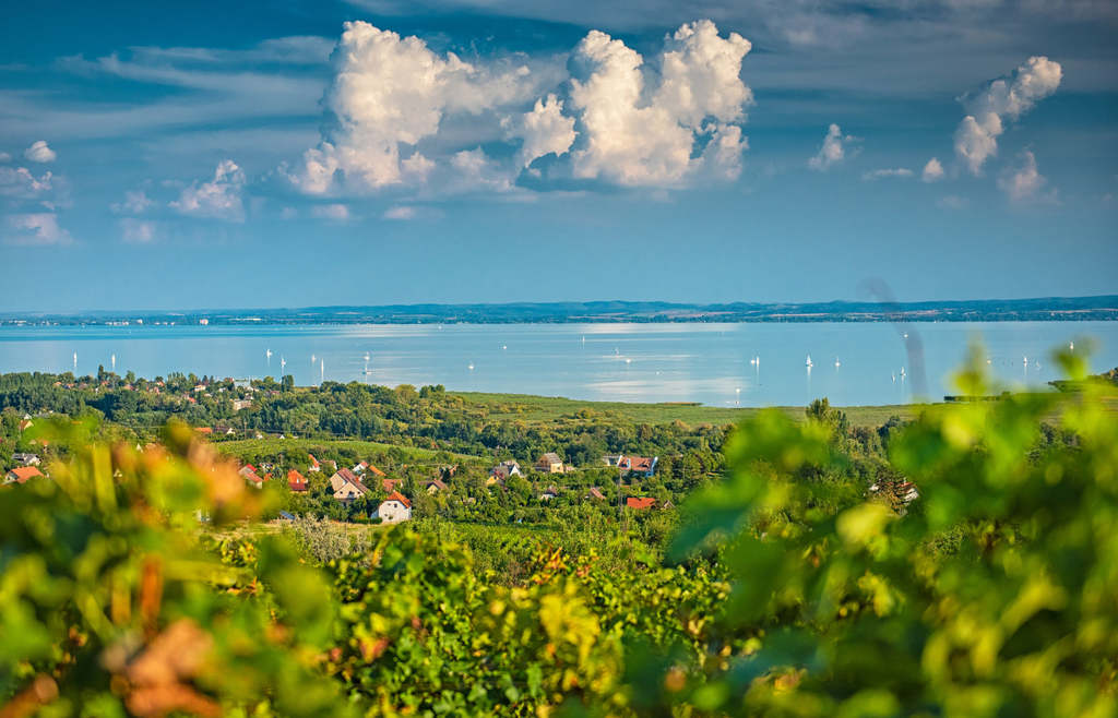 This Summer Promises an Excellent Season at Lake Balaton