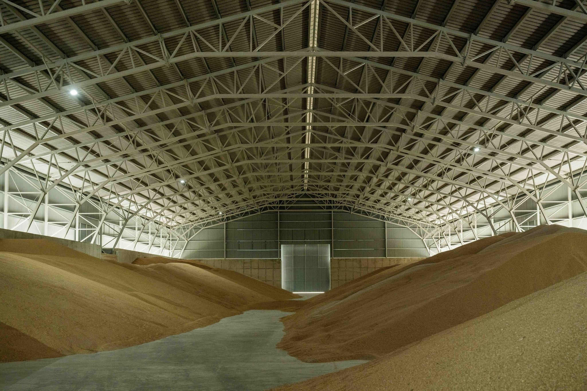 Ukrainian Cereals Undergo Heavy Quality Controls