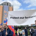 Farmers Join Their European Counterparts During Brussels Protest