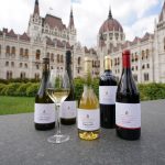 The 42nd National Wine Competition Starts in Budapest