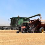 Farmers Can Claim EU Compensation for Ukrainian Grain Imports in Autumn