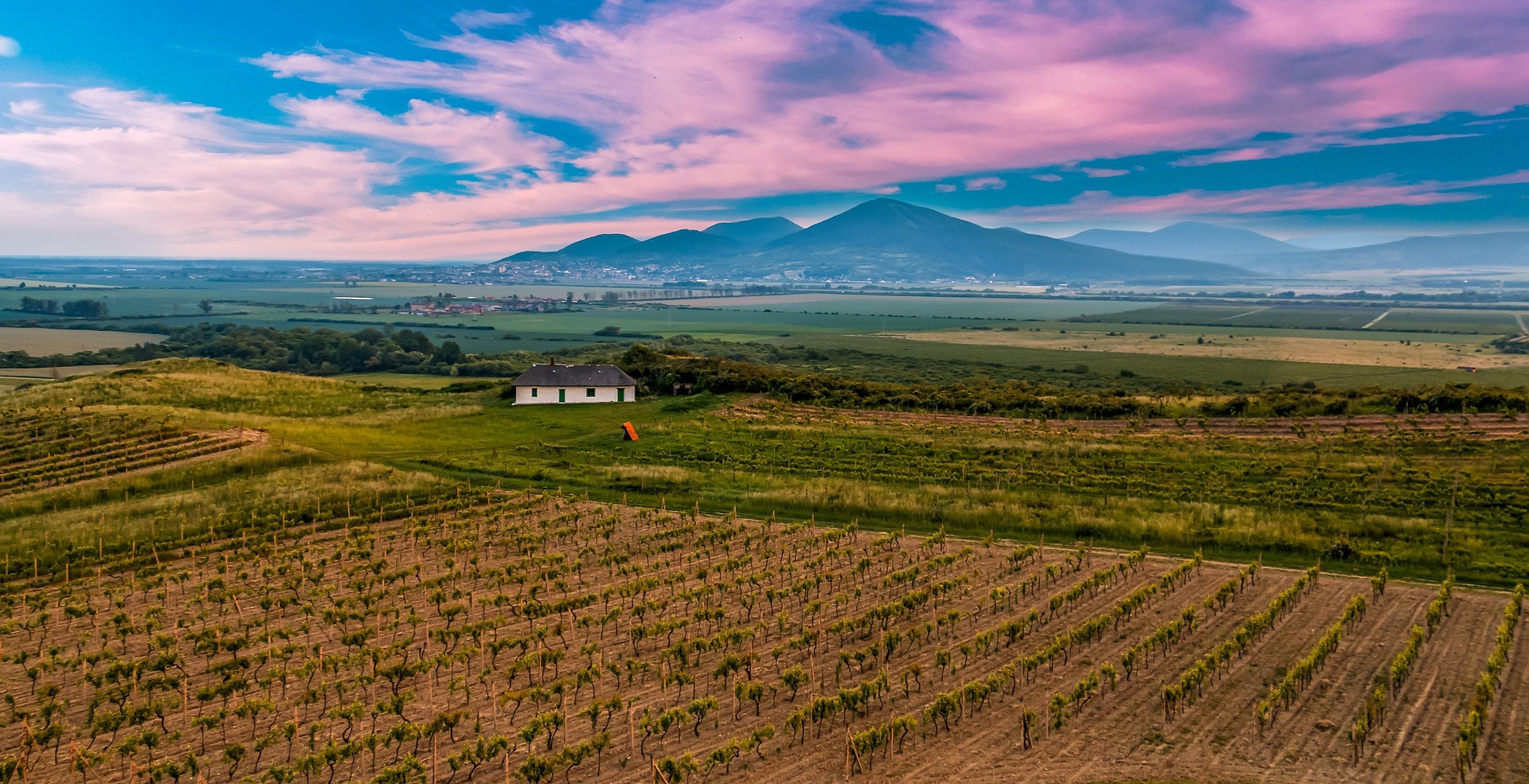 Sustainable Tourism Project from Tokaj Wine Region Receives International Award