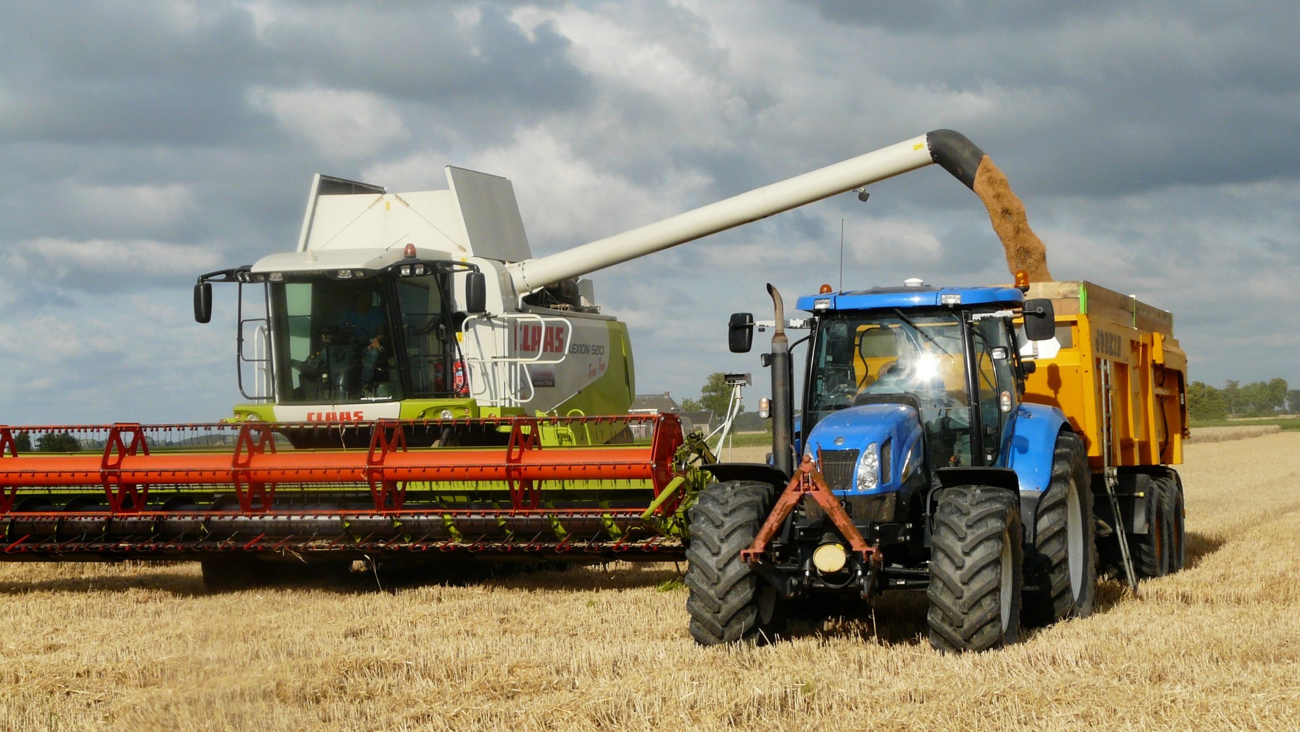 Minister: Ban on Ukrainian Grain Should Be Extended
