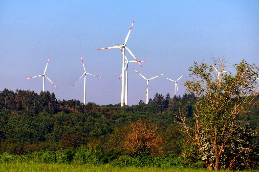 Hungarian Government Declines to Join the European Wind Charter post's picture
