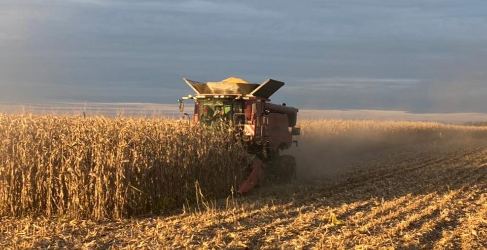Ukrainian Grain Should Reach Famine-Struck Areas First