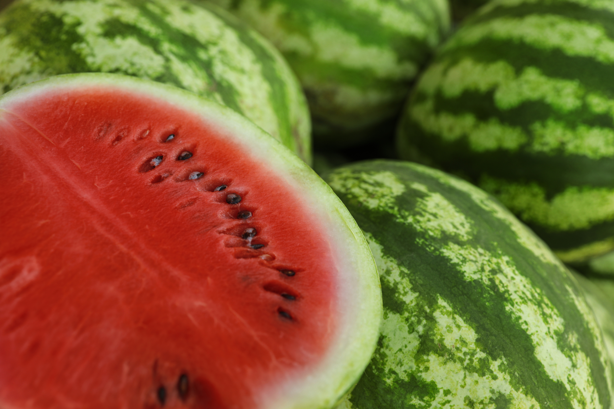 Watermelon War: Price of Home-Grown Delicacy Does Not Seem Right