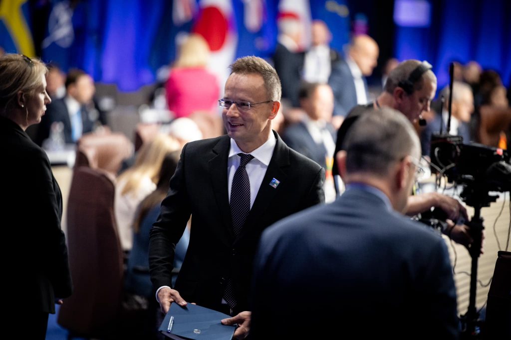 No Breakthrough for Sweden or Ukraine at NATO Summit post's picture