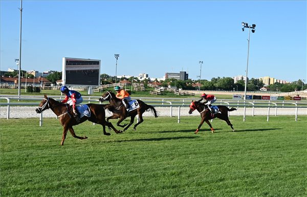 Highlight of the Weekend: 101st Hungarian Derby