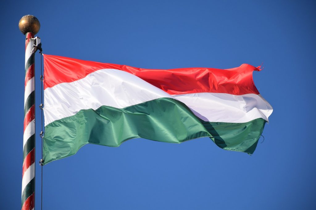 Hungarians Abroad Celebrating Pride Day post's picture