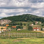 Villány Wine Region Is on the Rise