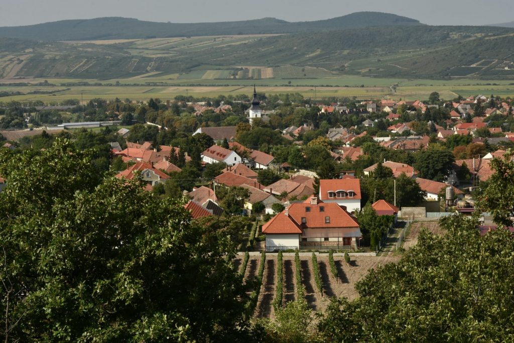 Buying Property in a Hungarian Wine Region Can be a Good Investment post's picture