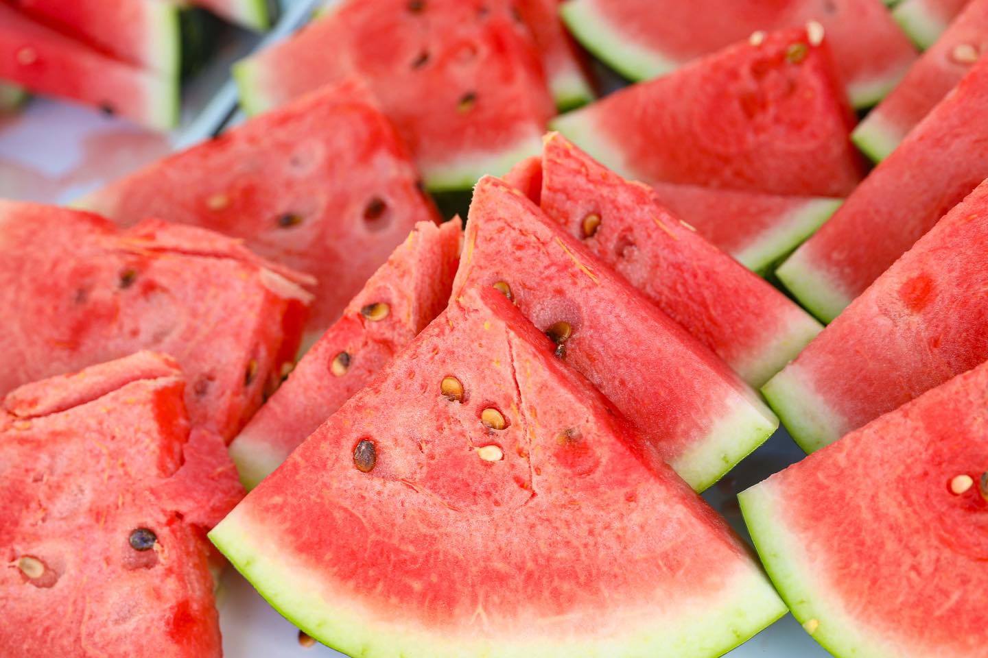 This Year’s Watermelon Crop Is of Perfect Quality