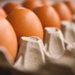 Poultry Sector Gets Support, But Ukrainian Egg Imports Create Difficulties
