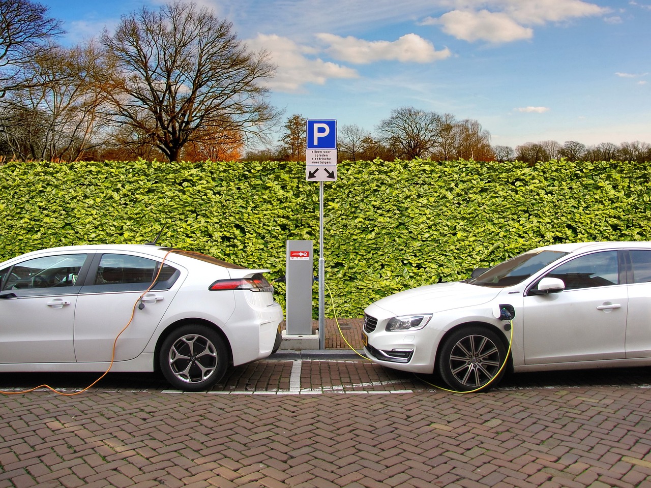 Numbers for the First Round of Applications to Purchase Electric Cars Are In