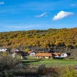 Visegrád Four Agriculture Chambers Agree on Preserving Rural Values