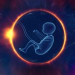 Fidesz MEPs Oppose the EU’s “Objectification” of Human Embryos