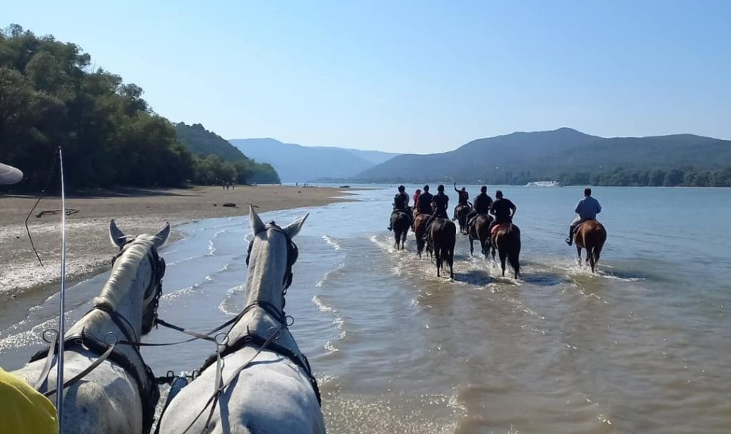 New Trails Await Lovers of Equestrian Tourism around Budapest post's picture