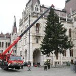 The Nation’s Christmas Tree Erected on Kossuth Square