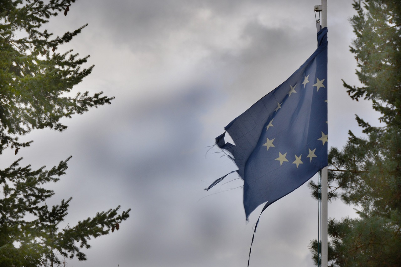 The EU Leadership is Mismanaging Crises, Says State Secretary