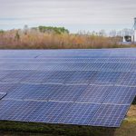 Domestic Industry Prepares for Transition to Green Energy