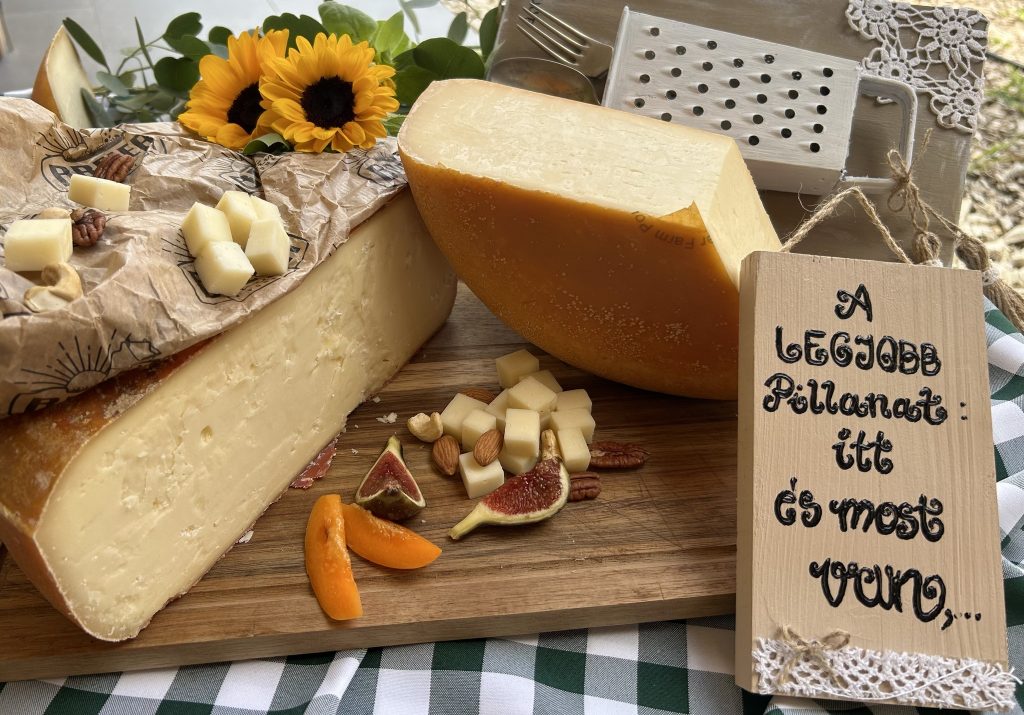 Two Hungarian Products Win Gold at the Most Prestigious Cheese Competition post's picture