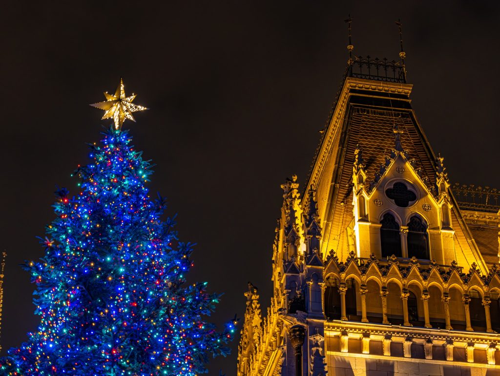 45-Year-Old Pine Chosen as the Nation’s Christmas Tree post's picture